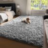 Ophanie Upgrade 4×6 Rugs for Bedroom, Grey, Fluffy Shaggy Soft Area Rug, Gray Non-Slip Indoor Floor Carpet for Living Room